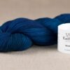 Stout Sock BFL Old Navy